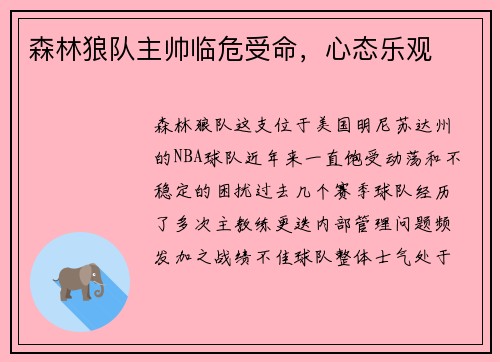 森林狼队主帅临危受命,心态乐观